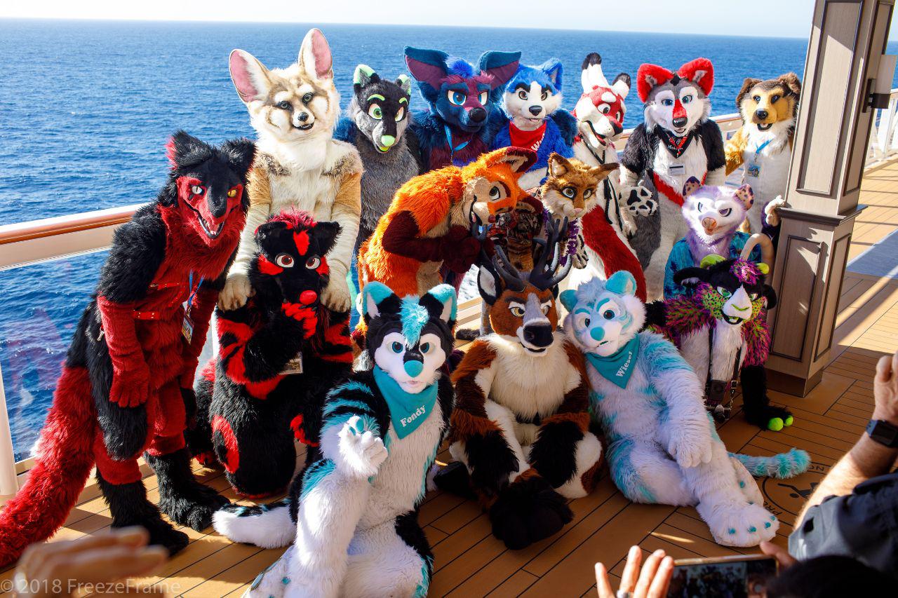 Furry Cruise